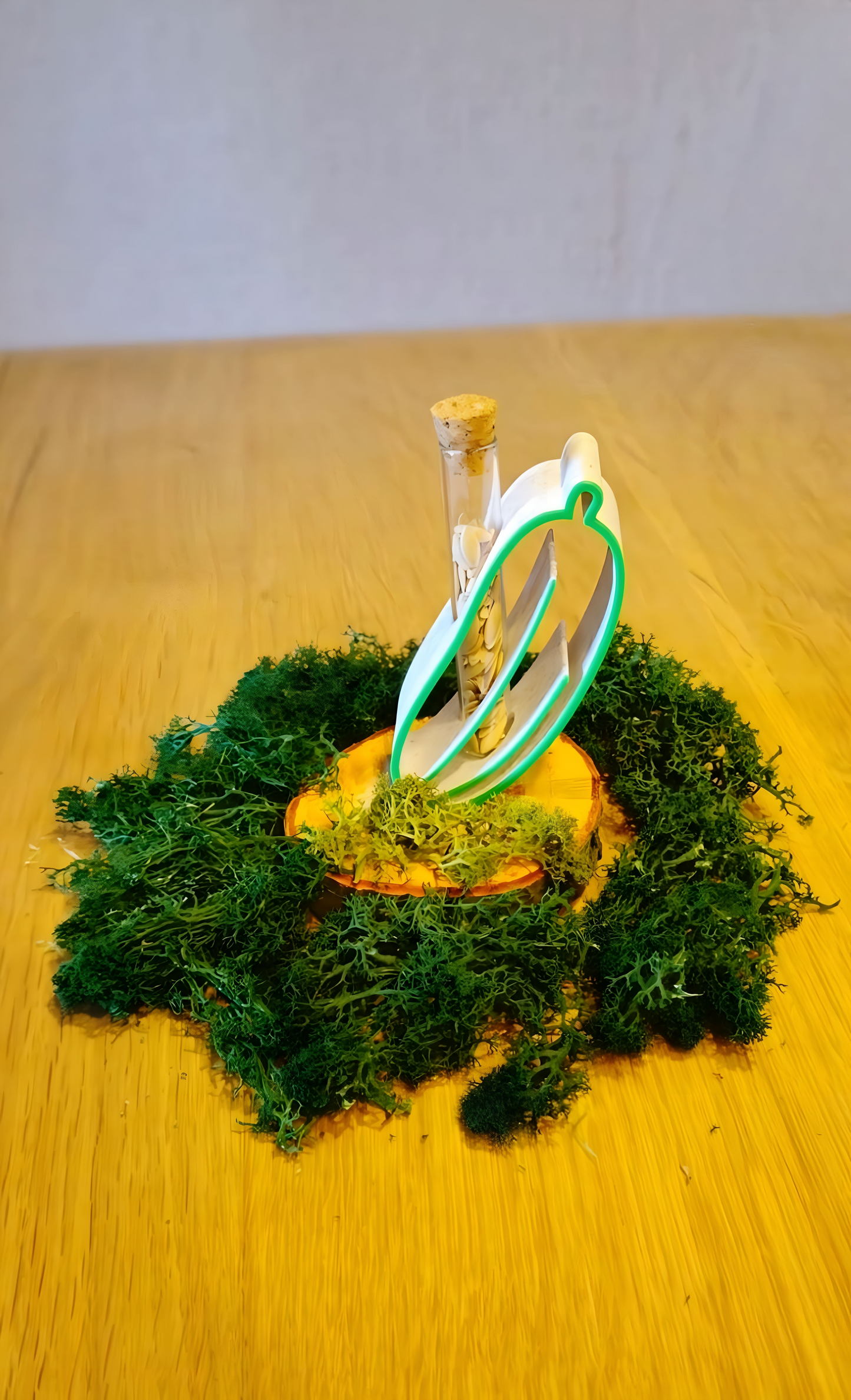 NordGrün Gurkensamen im Reagenzglas