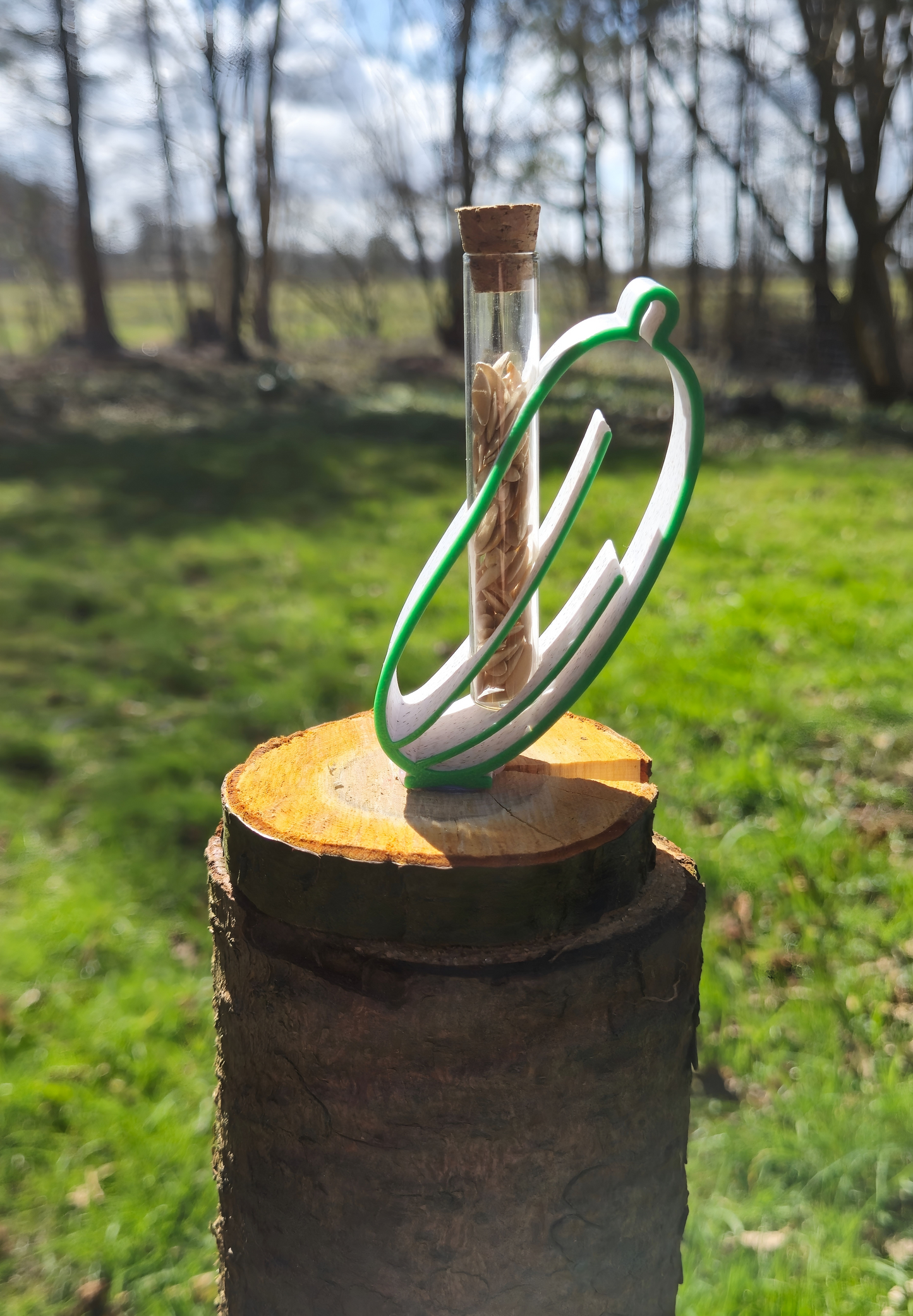 NordGrün Gurkensamen im Reagenzglas